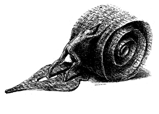 Big, beautiful Bills