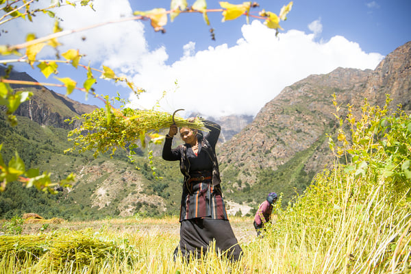 Mountains at the tipping point