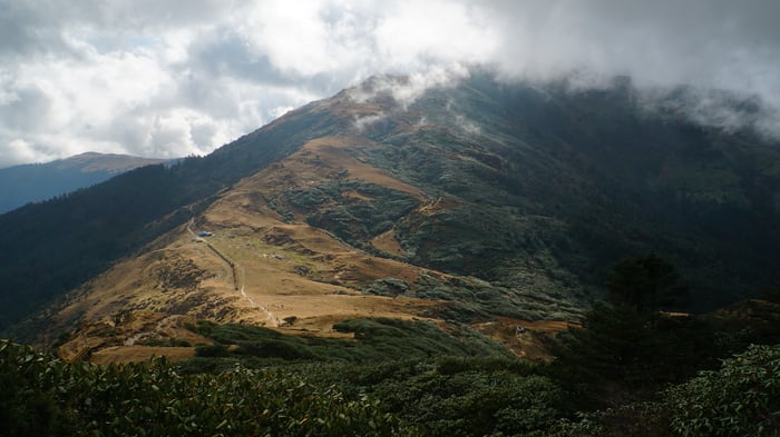 Going offtrek in Solu