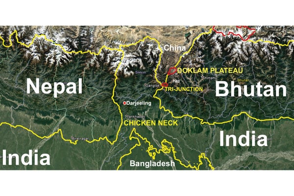 Some chicken, some neck