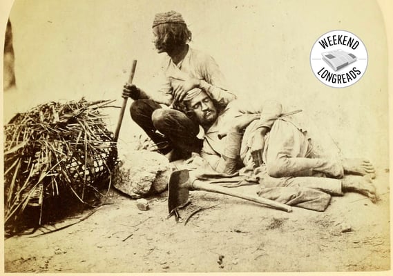 Life in a time of cholera