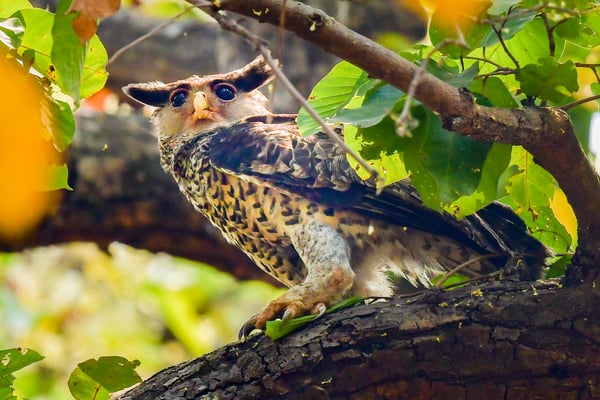 Protecting nature outside national parks