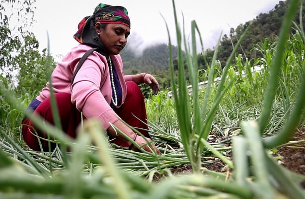 Strength in numbers for female farmers
