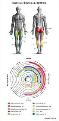 Make sure bicycling is not injurious to health