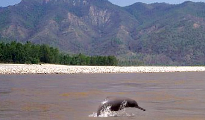 The wellbeing of the wilderness