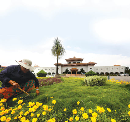 Let a thousand flowers bloom