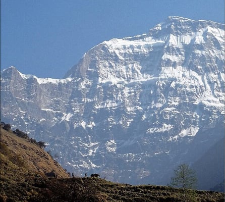 Gurja Himal tragedy