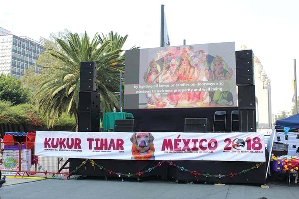 Mexico adopts Kukur Tihar