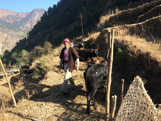 No need to migrate for work