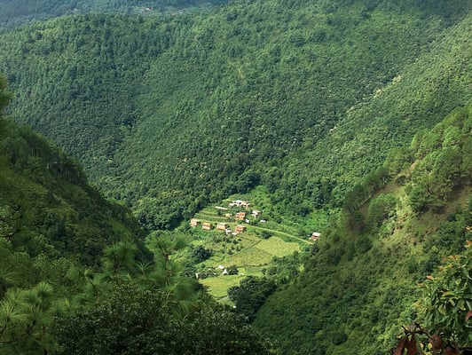 Who now owns Nepal's forests?