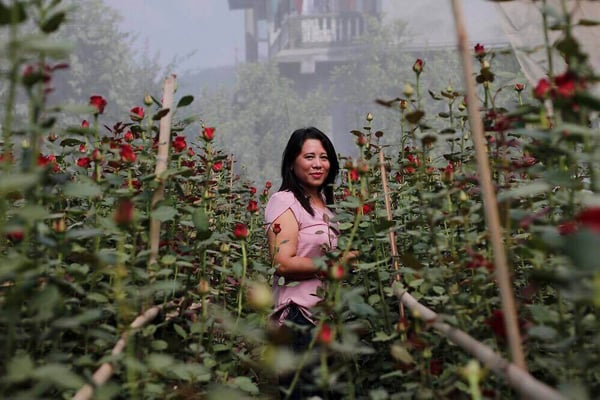 Bina Theeng Tamang: More than a maichyang