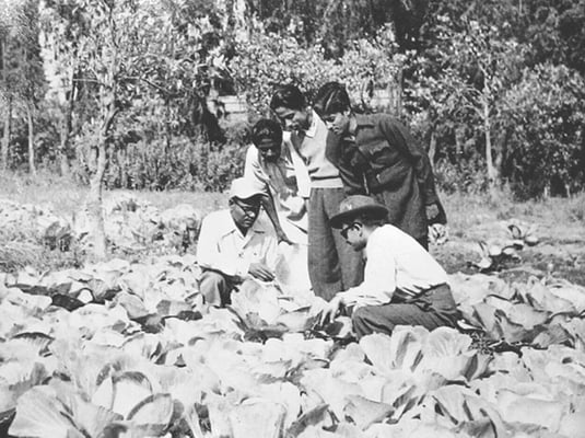 African Americans in Cold War Nepal