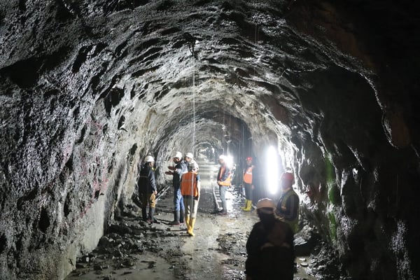 Finding the nexus between water, food and energy