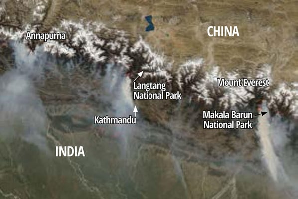 It's a jungle out there in Nepal and the Amazon