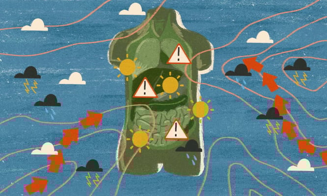 'Like a sunburn on your lungs': how does the climate crisis impact health?