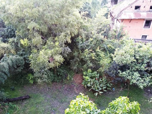 The lure of green