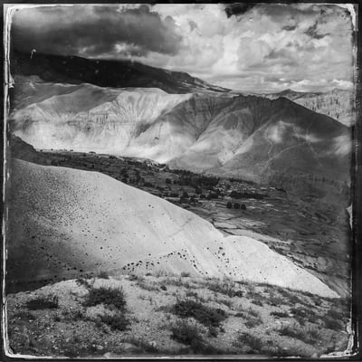 Mustang in shadows and light