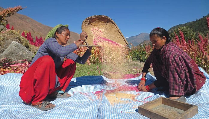 The superfoods of the Andes and the Himalaya