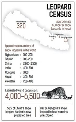 Satellite tracking snow leopards in Nepal to study climate impact