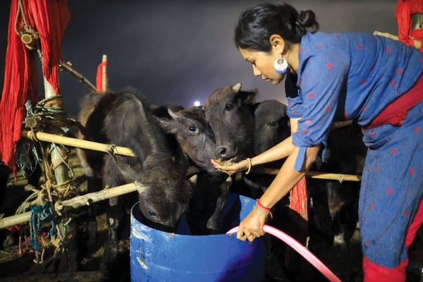 Cruelty and compassion