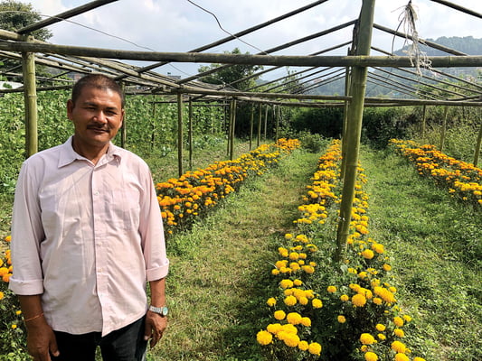 Migrant worker finds farming in Nepal more rewarding