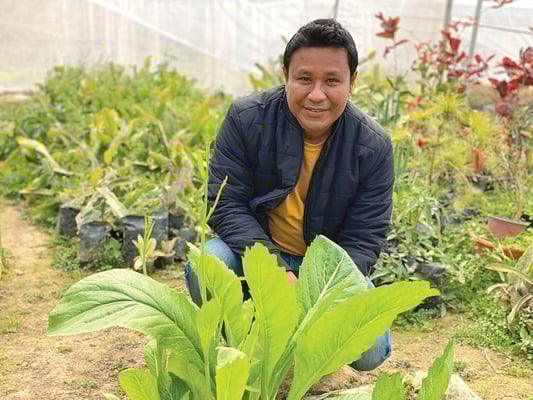 Building an information bridge for Nepal’s farmers