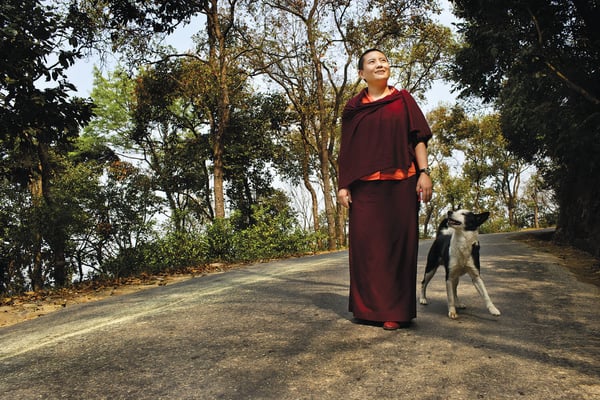 Coming Soon: Ani Choying, the movie