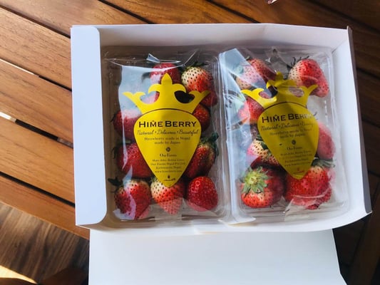 Nepalis quarantined in Qatar