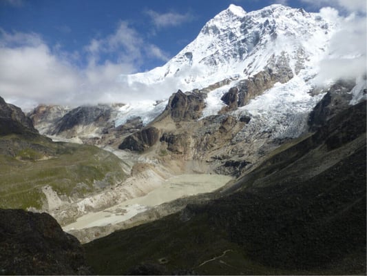 It's yarsa-picking time