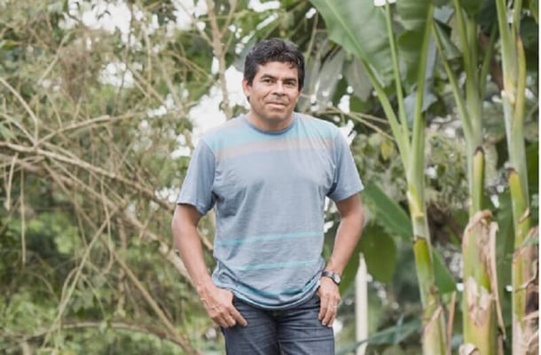 Protecting forests is crucial to cure pandemics