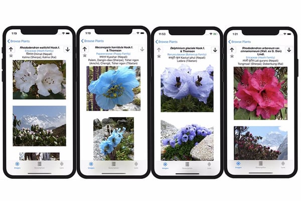 Wildflower app celebrates Nepal’s flora