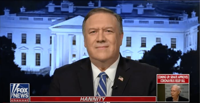 Pompeo accuses WHO of "failing in basic duty"