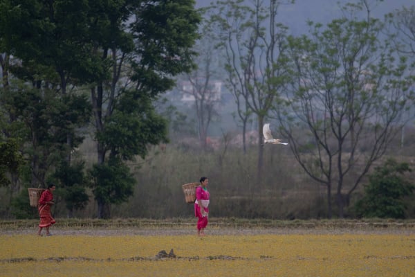 Nepal prepares for economic fallout of pandemic