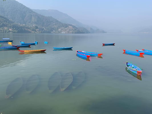 “Survive 2020, revive in 2021 and thrive in 2022”