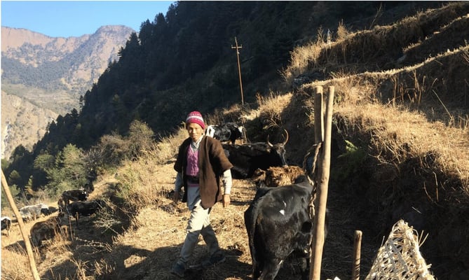 Earning to adapt to climate crisis