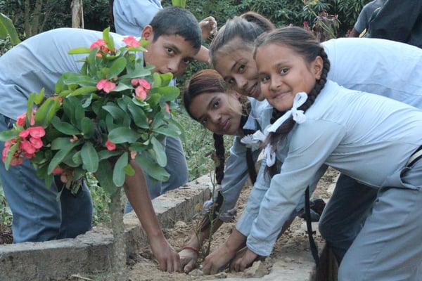 How to encourage a child’s biophilia