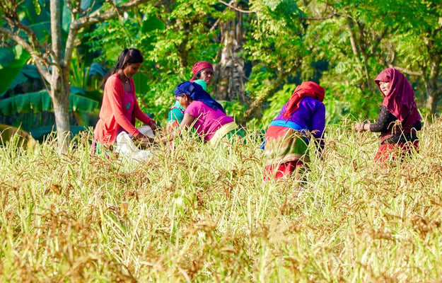 Help for resilient farming