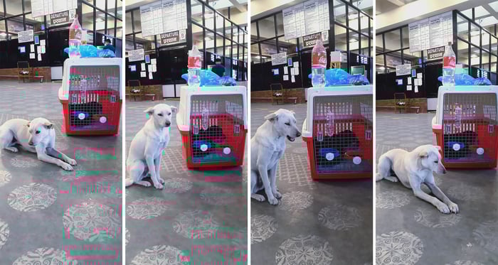 Angel meets an angel