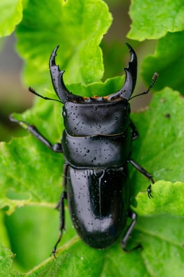 It’s a small world