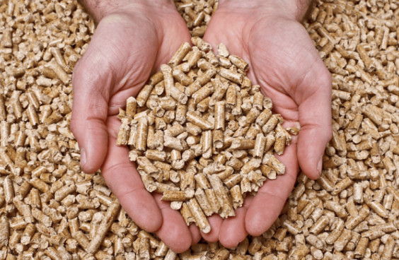 Not letting waste go waste