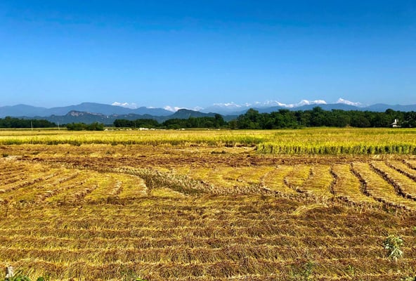 Crystal clear air makes the peaks of the eastern Himalaya visible from the Nepal Tarai
