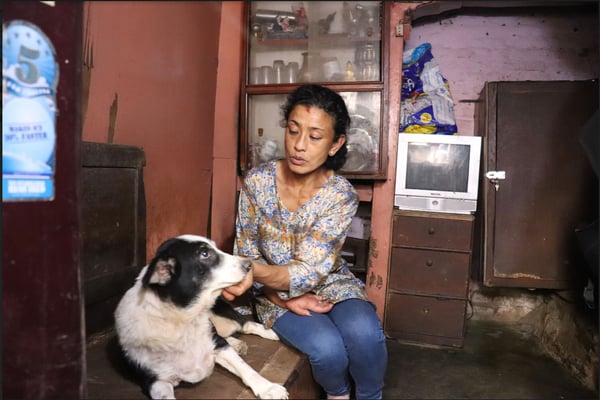 Every day is Dog Day