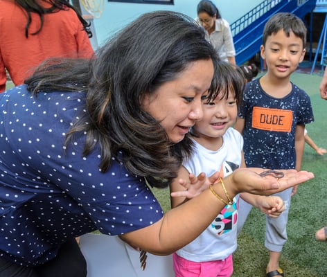 Catching children young in green schools