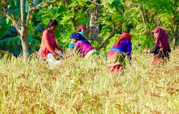 Nepali women doubly burdened by climate change