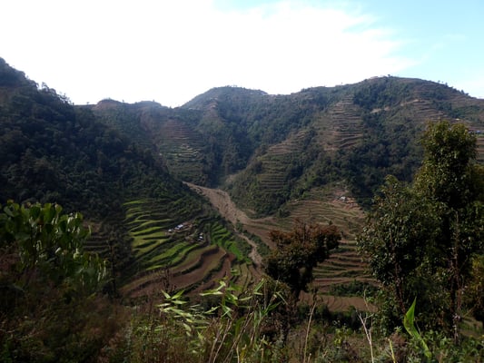 Model for post-Covid ecotourism