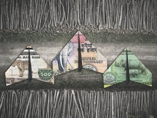 Nepal must save Nijgad Forest to receive climate funds