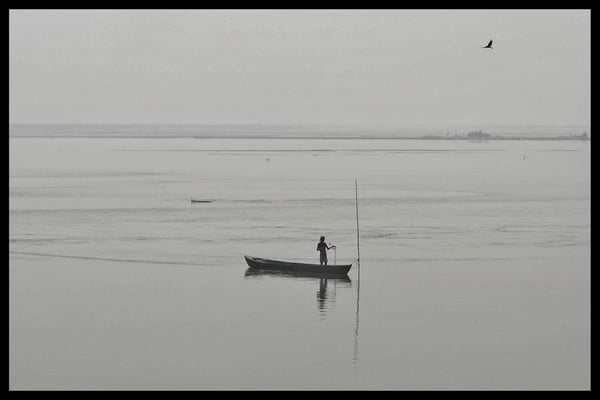 Too little, too much, or too polluted