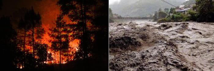 Decarbonisation needs to begin today