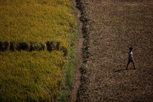 Nepal less and less able to feed itself