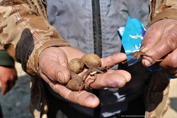 Saving nature by protecting orchids